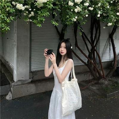 大象心